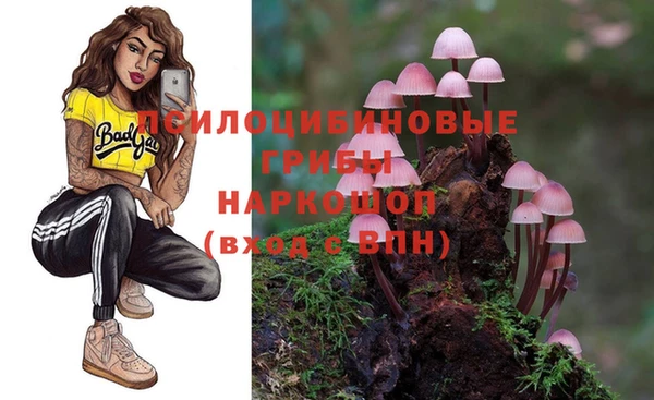 a pvp Заводоуковск